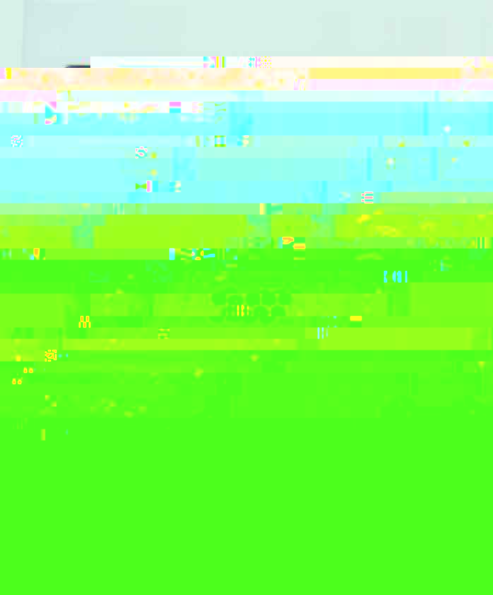 p13.JPG